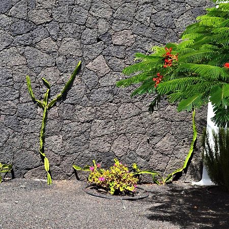 Grand Villa Famara Puerto Del Carmen ปูแอร์โตเดลคาร์เมน ภายนอก รูปภาพ