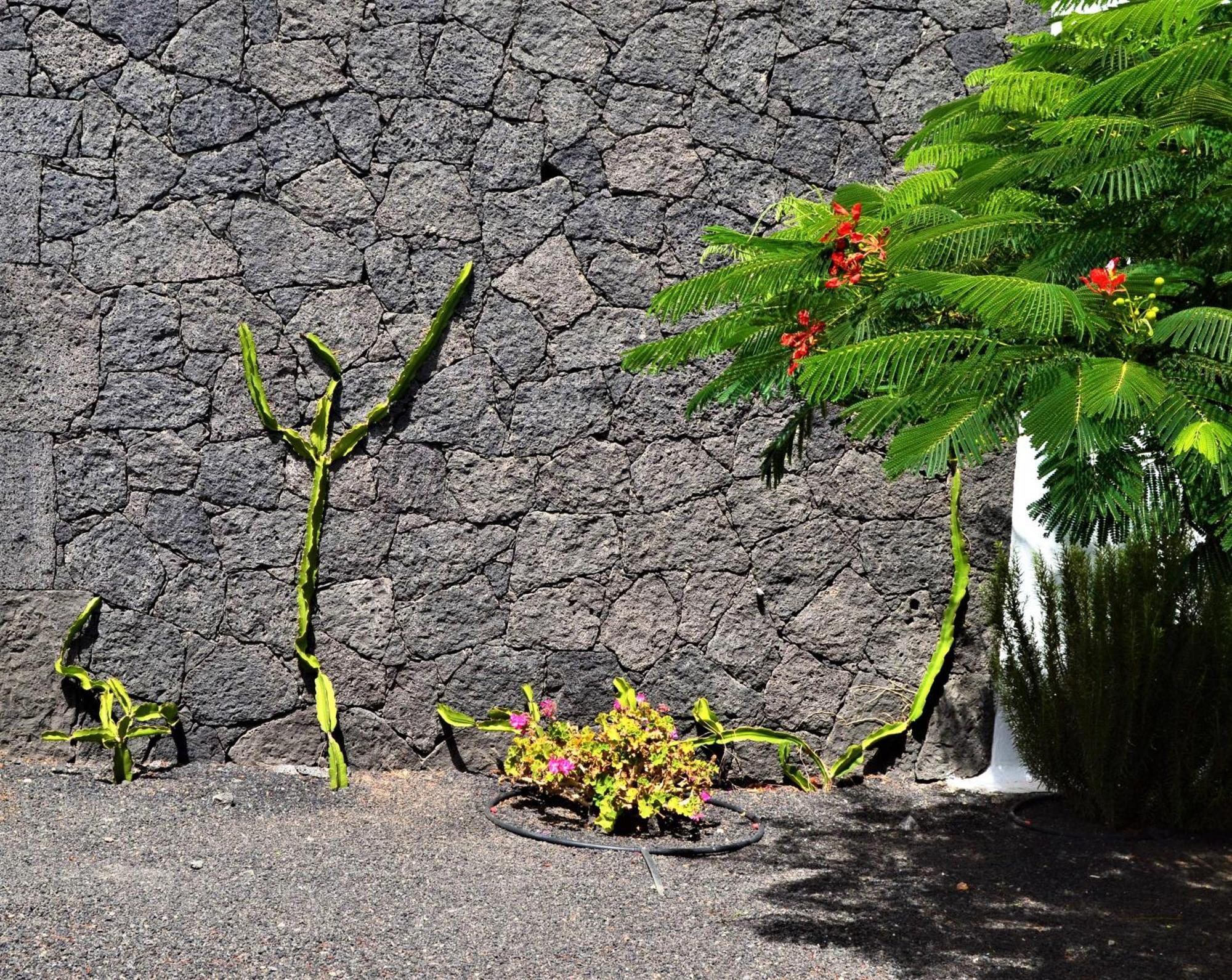 Grand Villa Famara Puerto Del Carmen ปูแอร์โตเดลคาร์เมน ภายนอก รูปภาพ